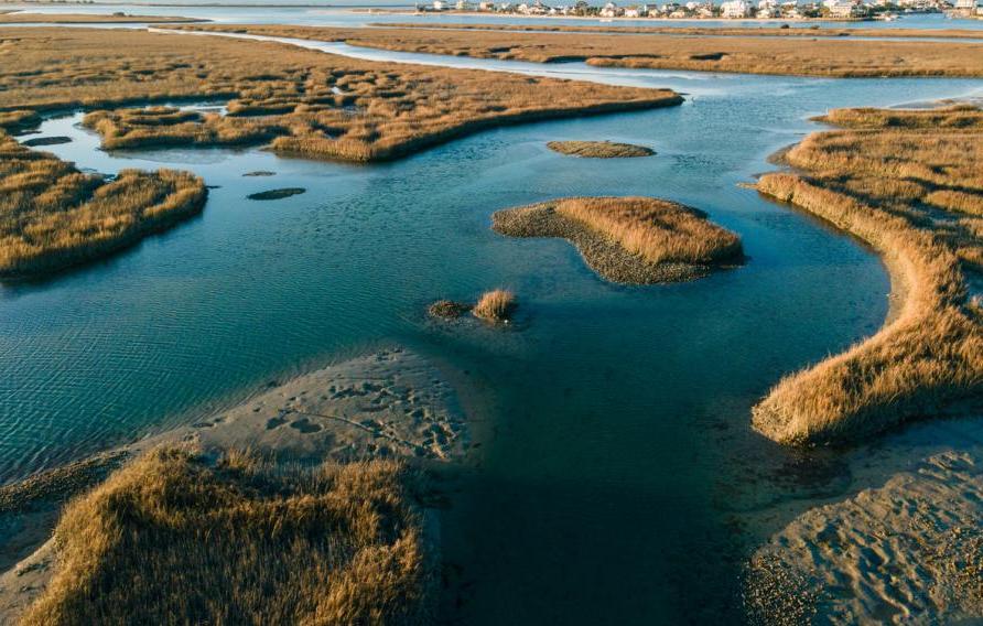 在明亮的阳光下，莫瑞尔斯湾草原上流动的水的鸟瞰图, Georgetown county, South Carolina, United States